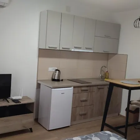 Aldo Apartment Soko Banja